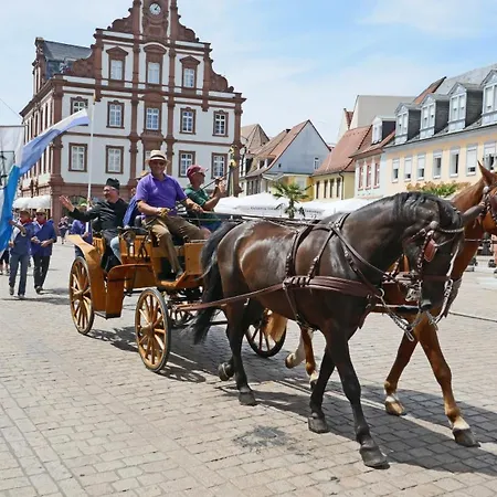 Garni Sebastian Hotel Kirrweiler (Sudliche Weinstrasse)