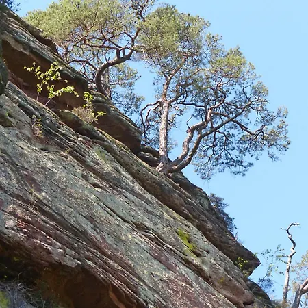 Hotel Garni Sebastian Kirrweiler (Sudliche Weinstrasse)