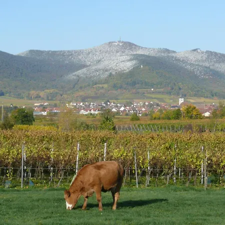 Garni Sebastian 3* Kirrweiler (Sudliche Weinstrasse)