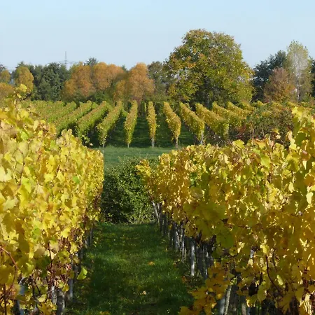 Garni Sebastian 3* Kirrweiler (Sudliche Weinstrasse)